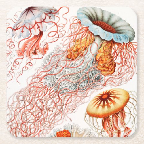 Jellyfish Discomedusae by Ernst Haeckel Square Paper Coaster