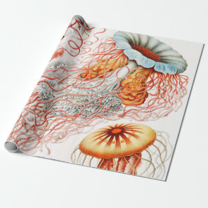 Jellyfish, Discomedusae by Ernst Haeckel Wrapping Paper