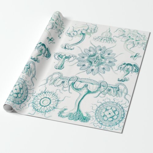 Jellyfish Discomedusae by Ernst Haeckel Wrapping Paper