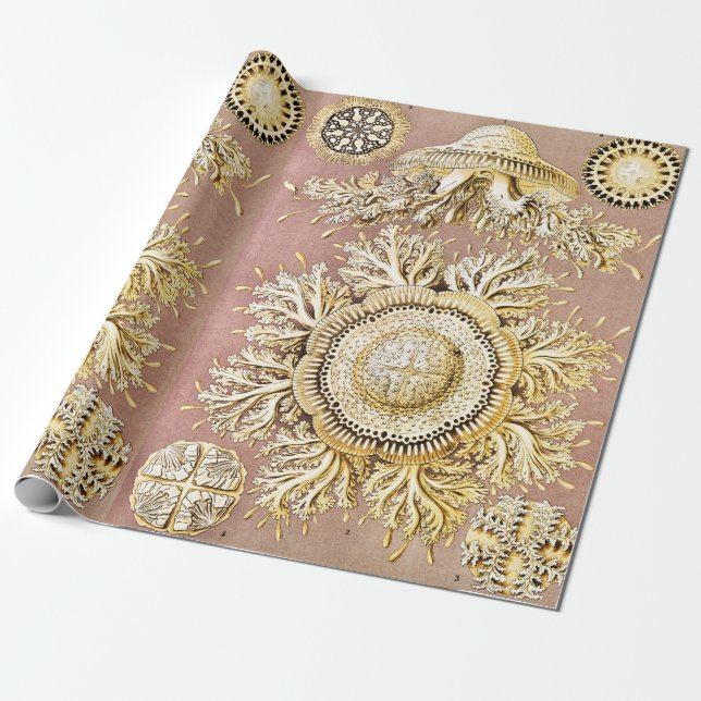 Jellyfish, Discomedusae by Ernst Haeckel Wrapping Paper (Unrolled)