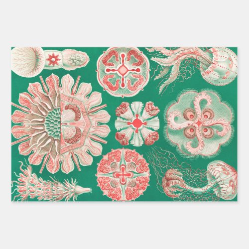 Jellyfish Discomedusae by Ernst Haeckel Wrapping Paper Sheets