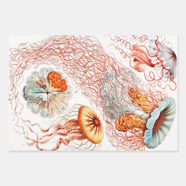 Jellyfish, Discomedusae by Ernst Haeckel Wrapping Paper Sheets (Front)