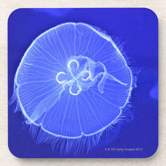 Jellyfish Drink Coaster (Front)