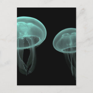 jellyfish fish custom personalize Anniversaries Postcard