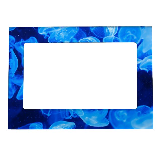 Jellyfish in the Sea Magnetic Picture Frame (Front)