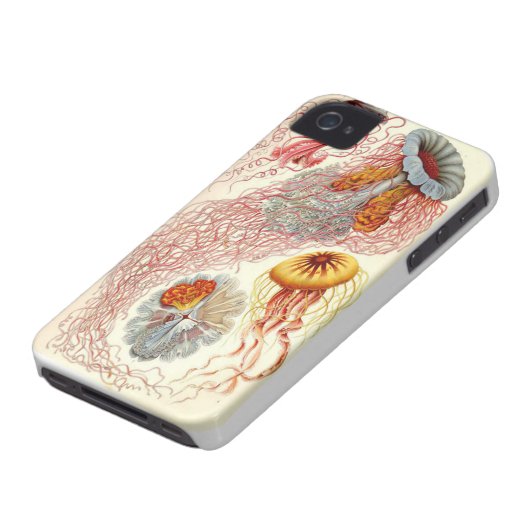 Jellyfish Iphone 4/4s Case (Bottom)