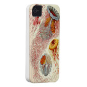 Jellyfish Iphone 4/4s Case (Back/Right)