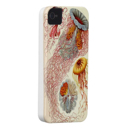Jellyfish Iphone 4/4s Case (Back/Right)