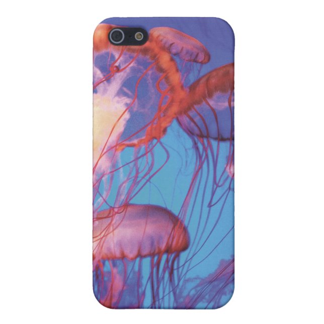 Jellyfish iPhone Case (Back)