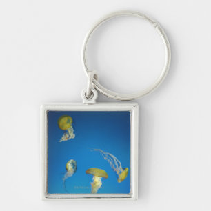 Jellyfish Keychain