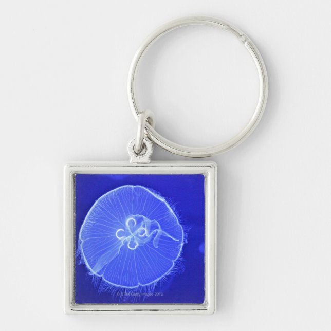 Jellyfish Keychain (Front)