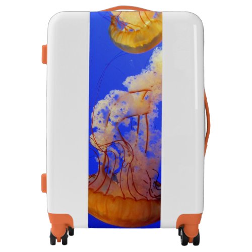 Jellyfish Luggage