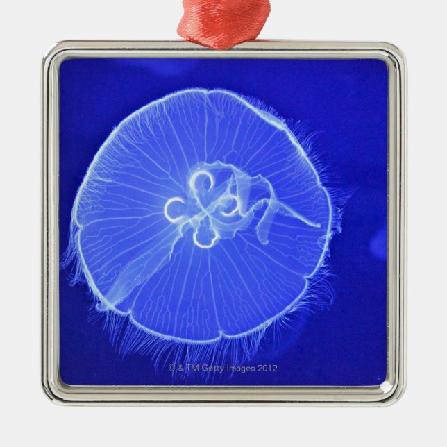 Jellyfish Metal Ornament (Front)