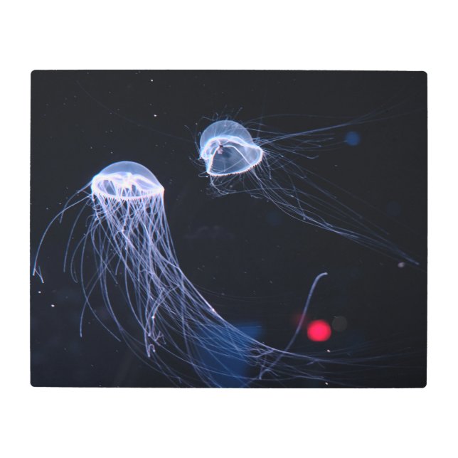 Jellyfish Metal Print (Front)