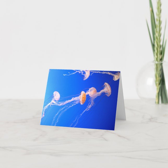 Jellyfish Note Card (Front)