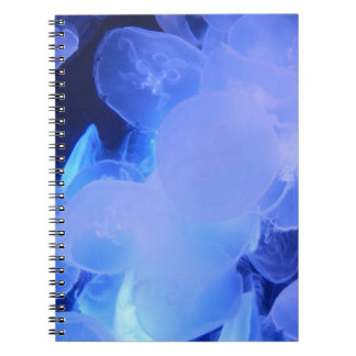 JELLYFISH NOTEBOOK