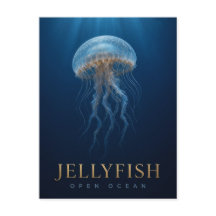 Jellyfish Open Ocean Wildlife ANIMAL