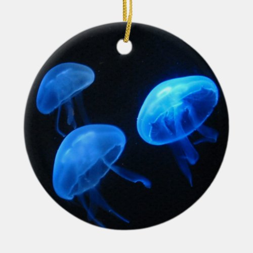 Jellyfish ornament  Underwater photography