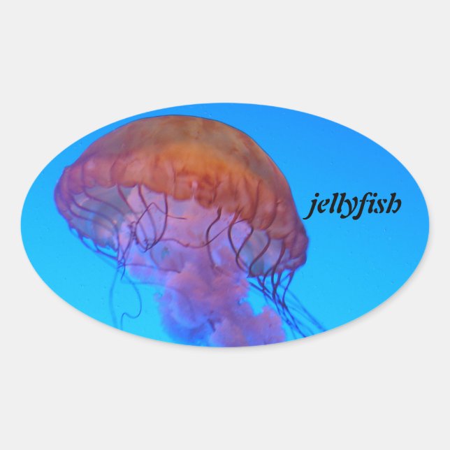 Jellyfish Oval Sticker (Front)