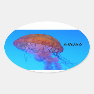 Jellyfish Oval Sticker