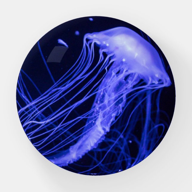 Jellyfish Paperweight (Front)