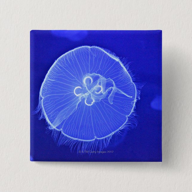 Jellyfish Pinback Button (Front)