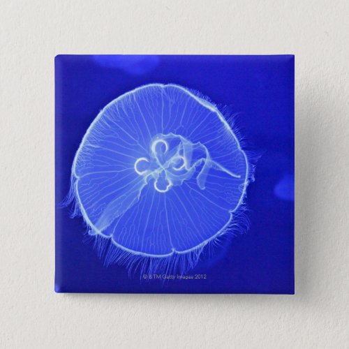 Jellyfish Pinback Button