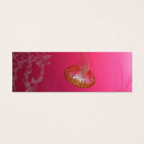Jellyfish Pink Business Card Templates