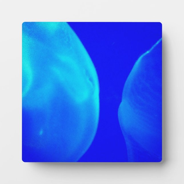 Jellyfish Plaque (Front)