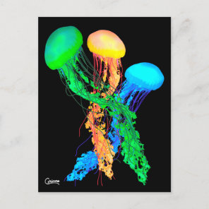 Jellyfish - Postcard
