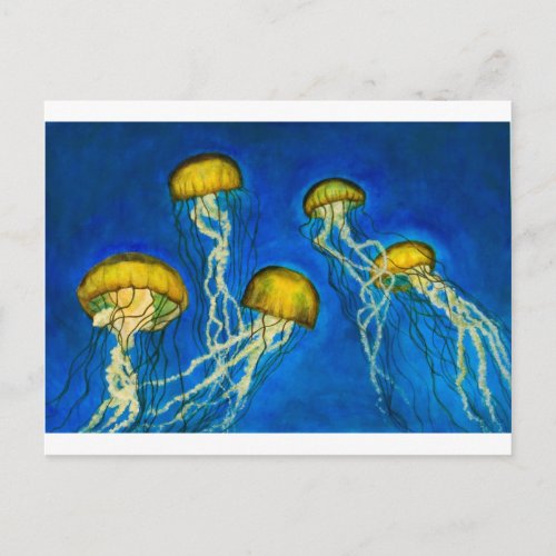 Jellyfish Postcard