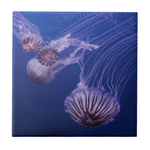 Jellyfish purple and blue ceramic tile