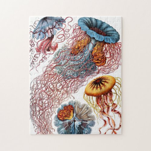 Jellyfish Scheibenquallen by Ernst Haeckel Jigsaw Puzzle