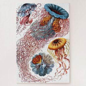 Jellyfish (Scheibenquallen) by Ernst Haeckel Jigsaw Puzzle