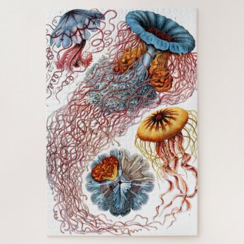 Jellyfish (scheibenquallen) By Ernst Haeckel Jigsaw Puzzle by colorfulworld at Zazzle