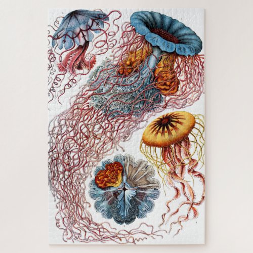 Jellyfish Scheibenquallen by Ernst Haeckel Jigsaw Puzzle
