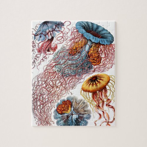 Jellyfish Scheibenquallen by Ernst Haeckel Jigsaw Puzzle