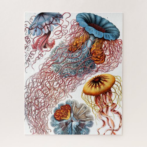 Jellyfish Scheibenquallen by Ernst Haeckel Jigsaw Puzzle