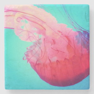 Jellyfish Stone Coaster
