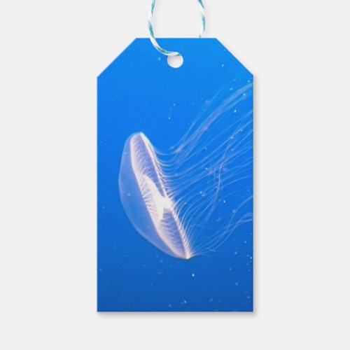 Jellyfish Tentacles Gift Tags