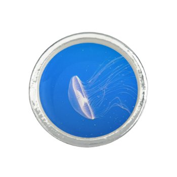 Jellyfish Tentacles Ring by beachcafe at Zazzle