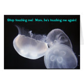 Jellyfish Touch (Front Horizontal)