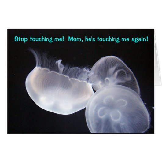 Jellyfish Touch Cards (Front Horizontal)