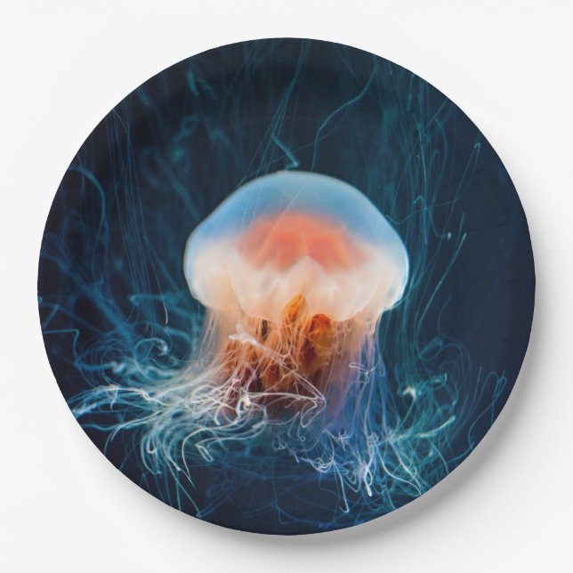 Jellyfish Underwater - Dark Glow Paper Plates (Front)