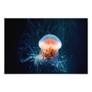 Jellyfish Underwater - Dark Glow Photo Print