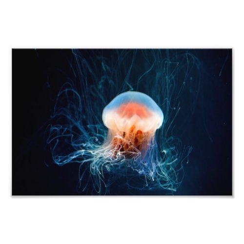 Jellyfish Underwater _ Dark Glow Photo Print