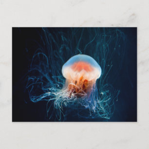 Jellyfish Underwater - Dark Glow Postcard