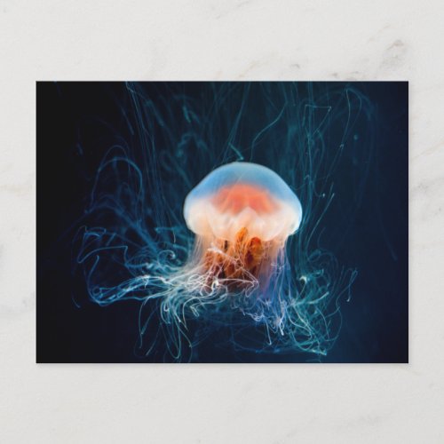 Jellyfish Underwater _ Dark Glow Postcard