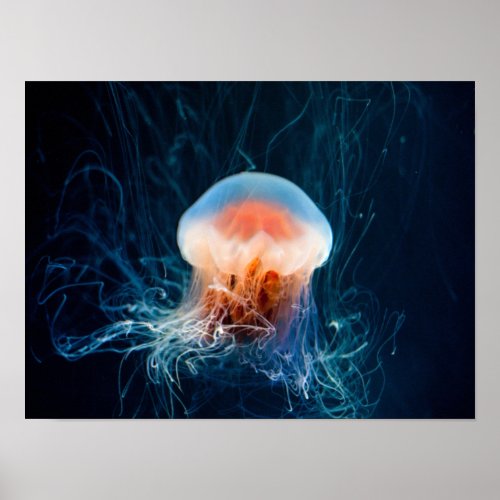 Jellyfish Underwater _ Dark Glow Poster