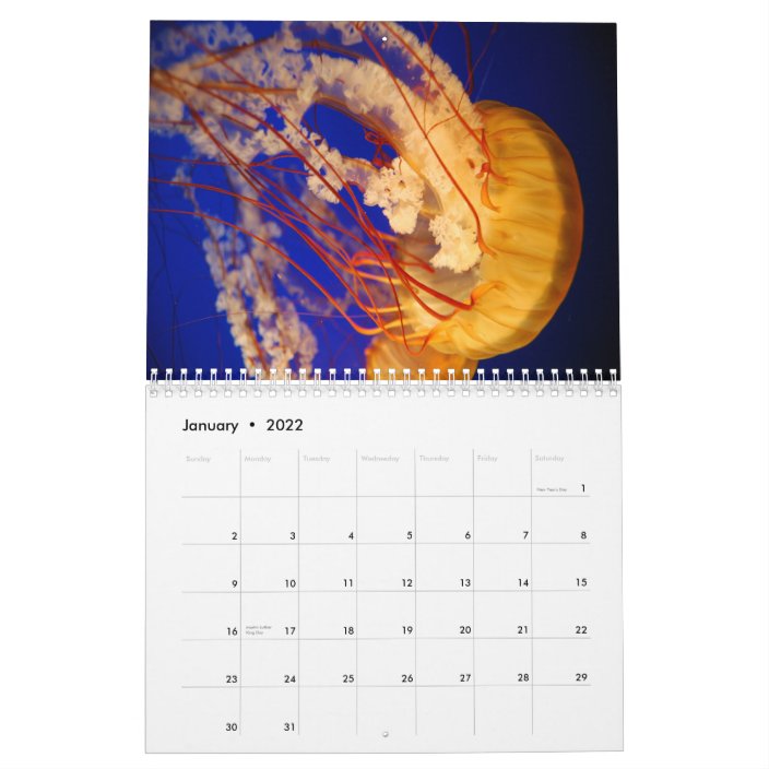 Jellyfish Wall Calendar | Zazzle.com